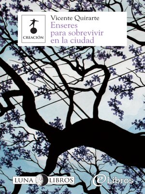 cover image of Enseres para sobrevivir en la ciudad